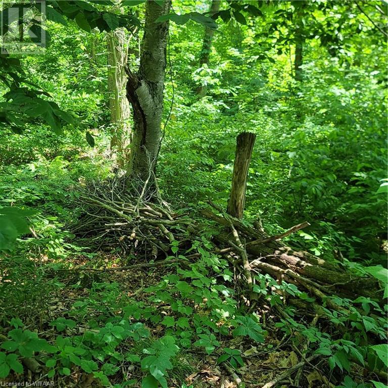 33 Ross Crescent, Gilbertville, Ontario  N4B 1A5 - Photo 8 - 40600741