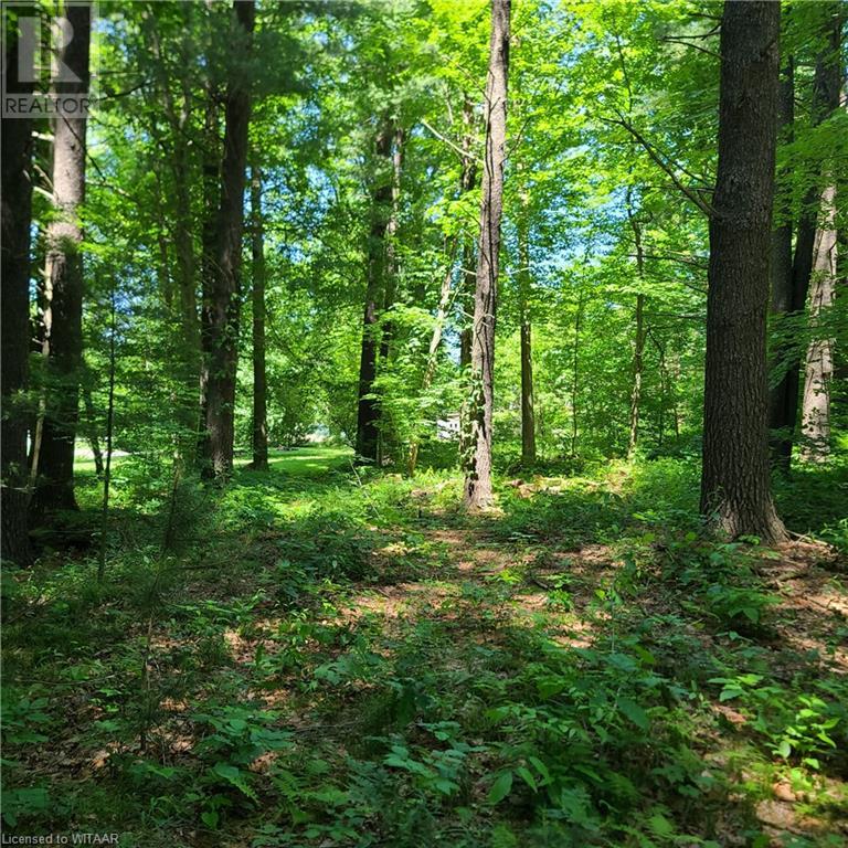 33 Ross Crescent, Gilbertville, Ontario  N4B 1A5 - Photo 9 - 40600741