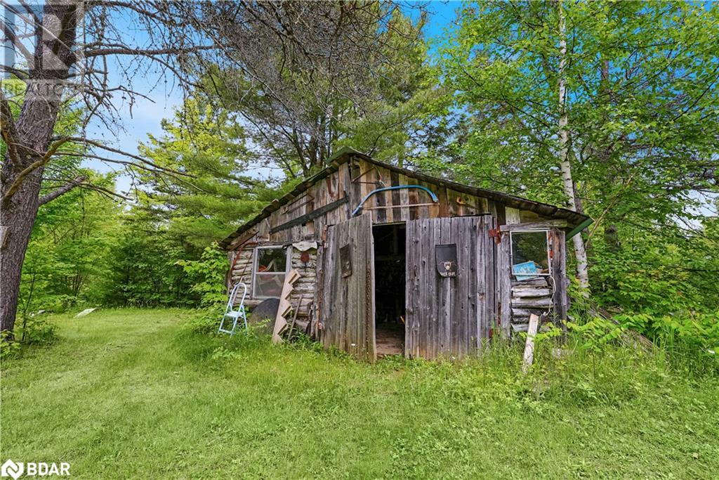 189 Boundary Road, Kinmount, Ontario  K0M 2A0 - Photo 22 - 40605590