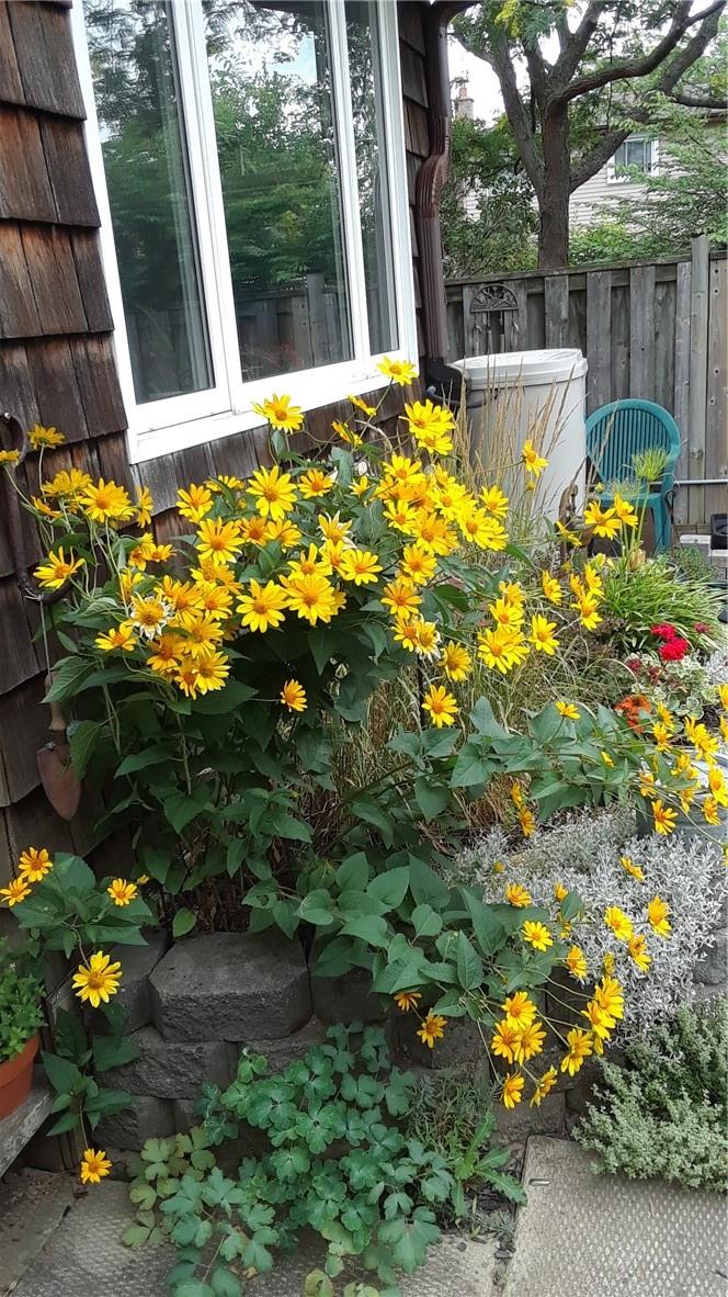 14 Ingrid Court, Hamilton, Ontario  L8W 2V4 - Photo 42 - H4197216