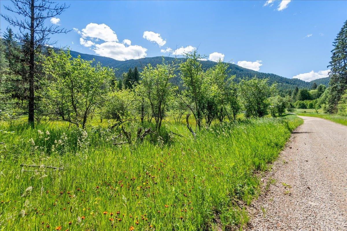 Lot 1 Graham Road, Appledale, British Columbia  V0G 2J0 - Photo 23 - 2477693