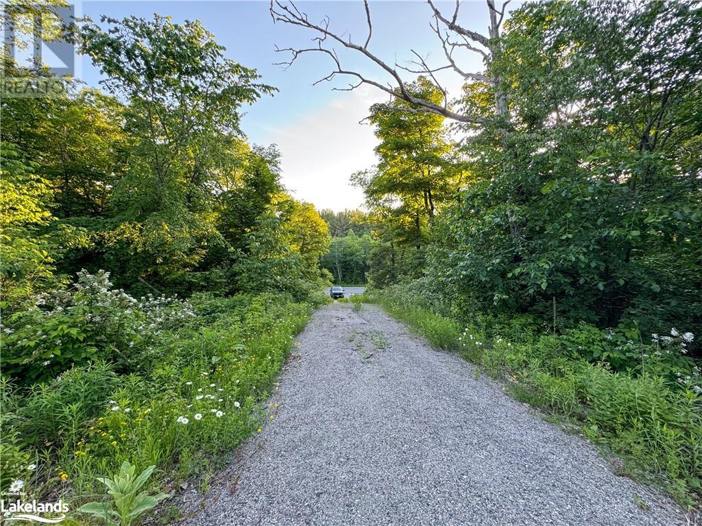 1177 Eveleigh Road, Port Carling, Ontario  P0B 1J0 - Photo 3 - 40601950