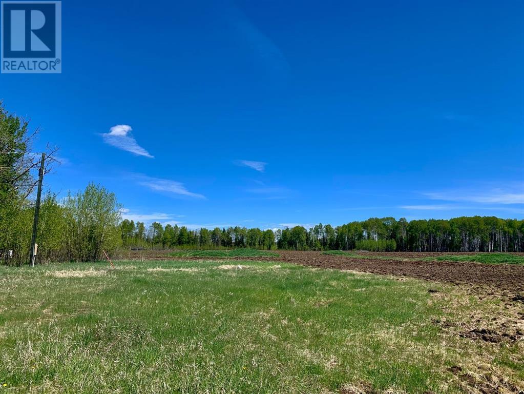 On 62 Street, Rocky Mountain House, Alberta  T4T 0A1 - Photo 3 - A2141234