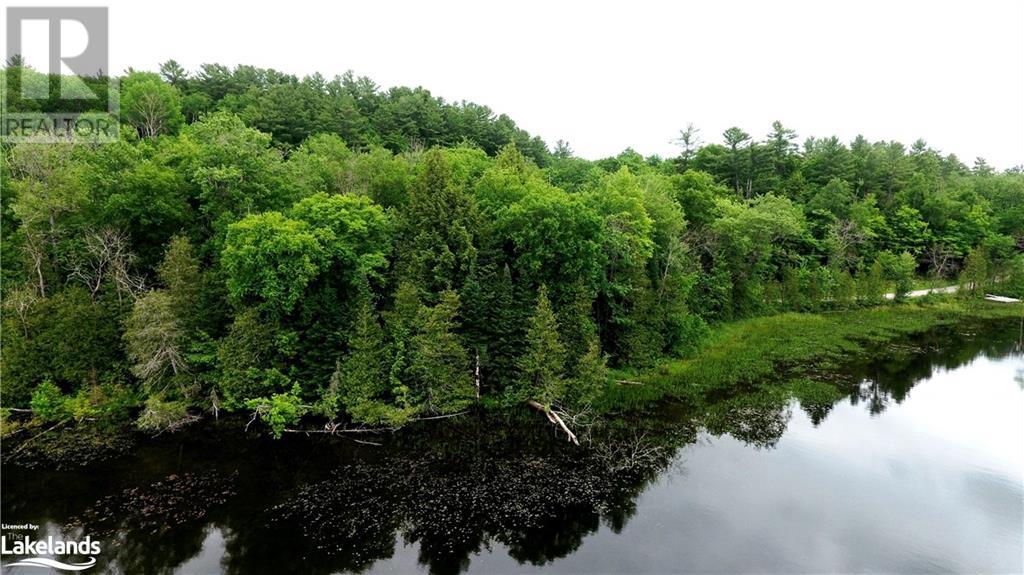 0 South Beaver Lake Lane, Minden Hills, Ontario  K0M 2L1 - Photo 11 - 40603436