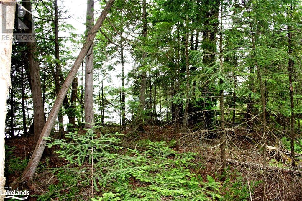 0 South Beaver Lake Lane, Minden Hills, Ontario  K0M 2L1 - Photo 12 - 40603436