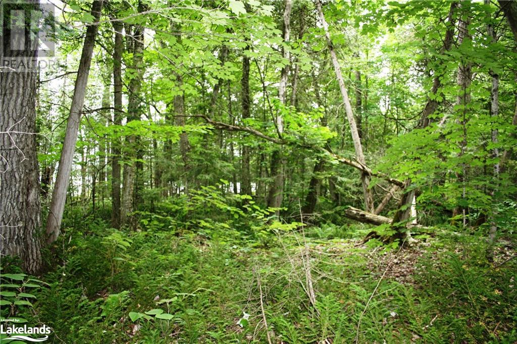 0 South Beaver Lake Lane, Minden Hills, Ontario  K0M 2L1 - Photo 14 - 40603436