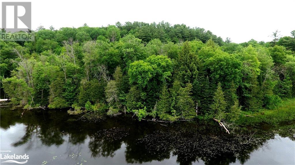 0 South Beaver Lake Lane, Minden Hills, Ontario  K0M 2L1 - Photo 2 - 40603436