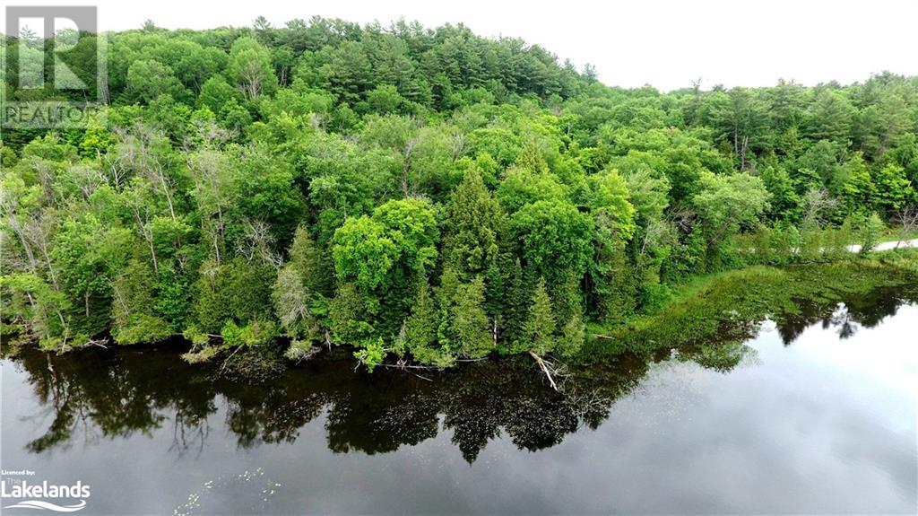 0 South Beaver Lake Lane, Minden Hills, Ontario  K0M 2L1 - Photo 5 - 40603436