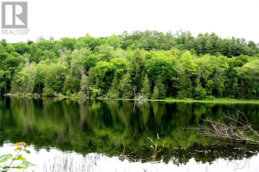 0 South Beaver Lake Lane, Minden Hills, Ontario  K0M 2L1 - Photo 7 - 40603436