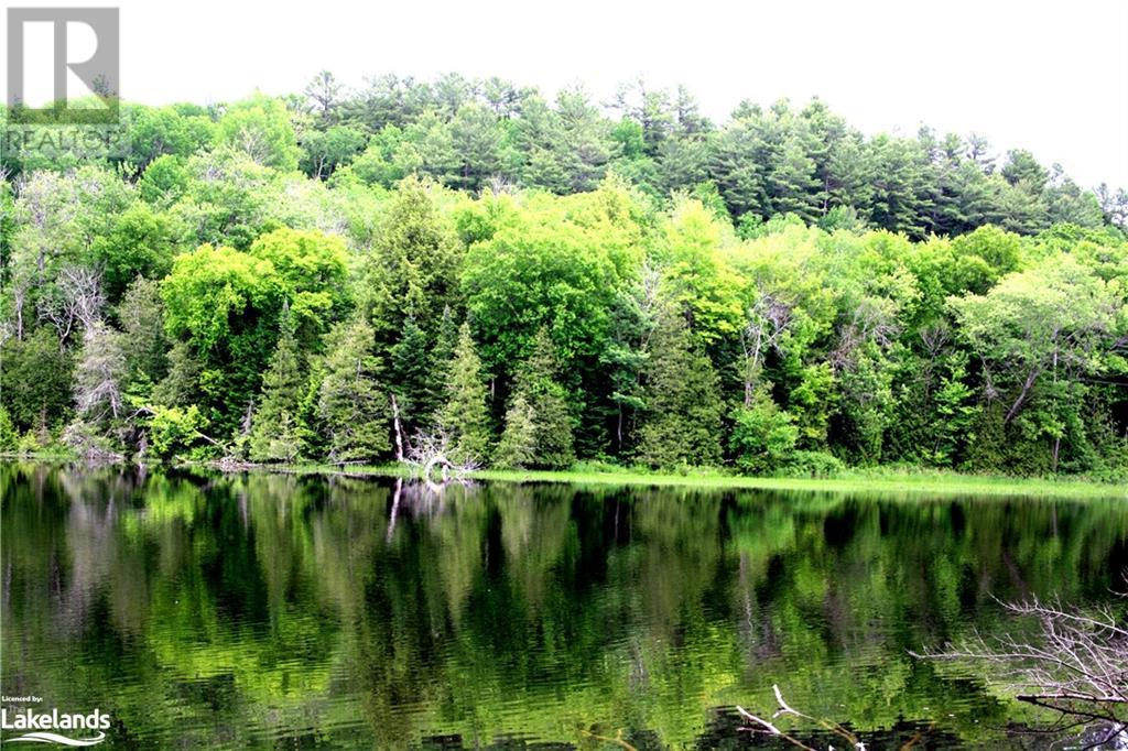 0 South Beaver Lake Lane, Minden Hills, Ontario  K0M 2L1 - Photo 8 - 40603436