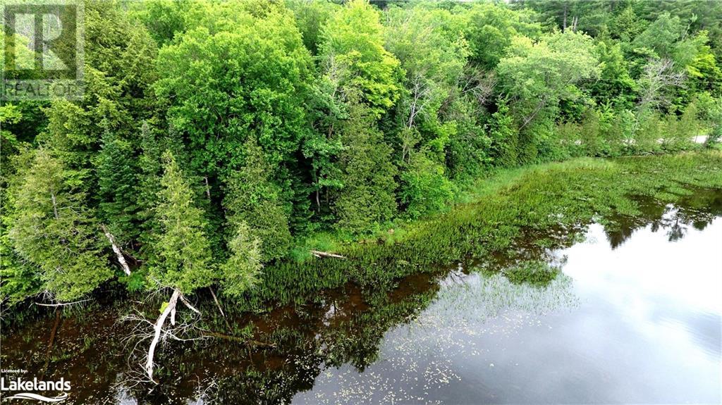 0 South Beaver Lake Lane, Minden Hills, Ontario  K0M 2L1 - Photo 9 - 40603436