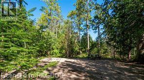 6313 6 Highway, Tobermory, Ontario  N0H 2R0 - Photo 38 - 40604712