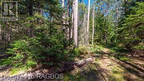 6313 6 Highway, Tobermory, Ontario  N0H 2R0 - Photo 42 - 40604712