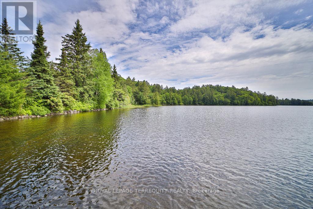 20130 On-35, Algonquin Highlands, Ontario  P0A 1E0 - Photo 14 - X8062614