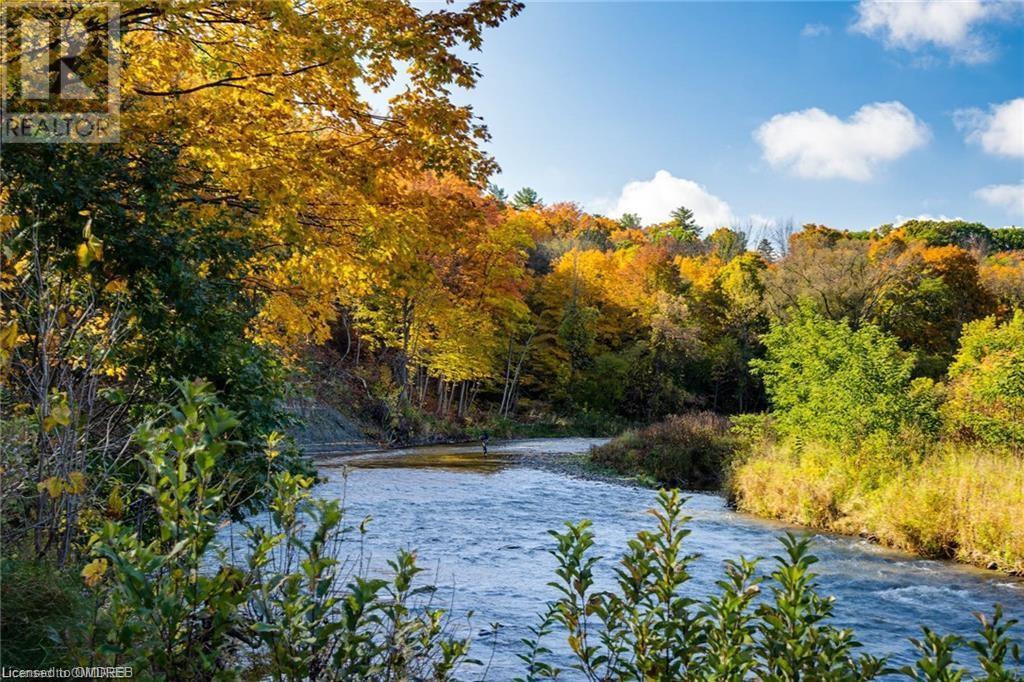 1343 Blythe Road, Mississauga, Ontario  L5H 2C2 - Photo 3 - 40606237