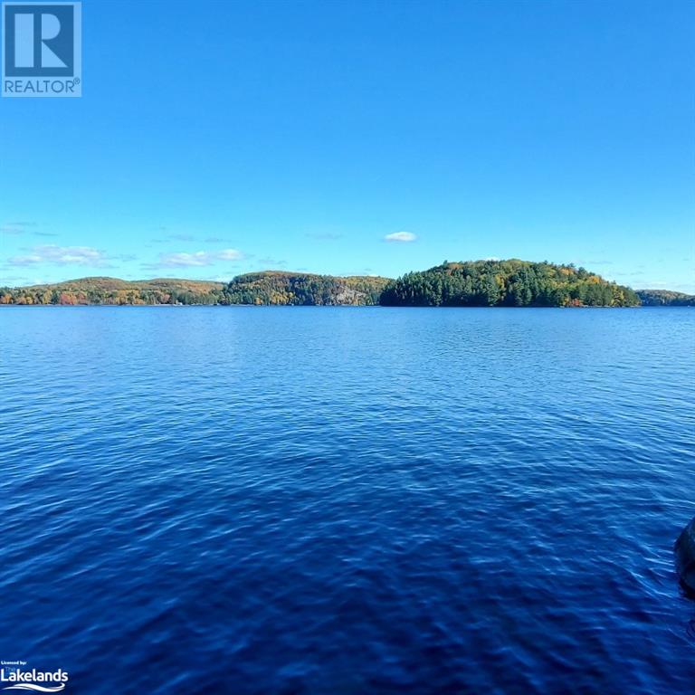 1902 A Foxpoint Road, Dwight, Ontario  P0A 1H0 - Photo 4 - 40605993