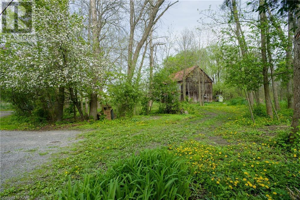14005 Front Road, Stella, Ontario  K0H 2S0 - Photo 36 - 40606336