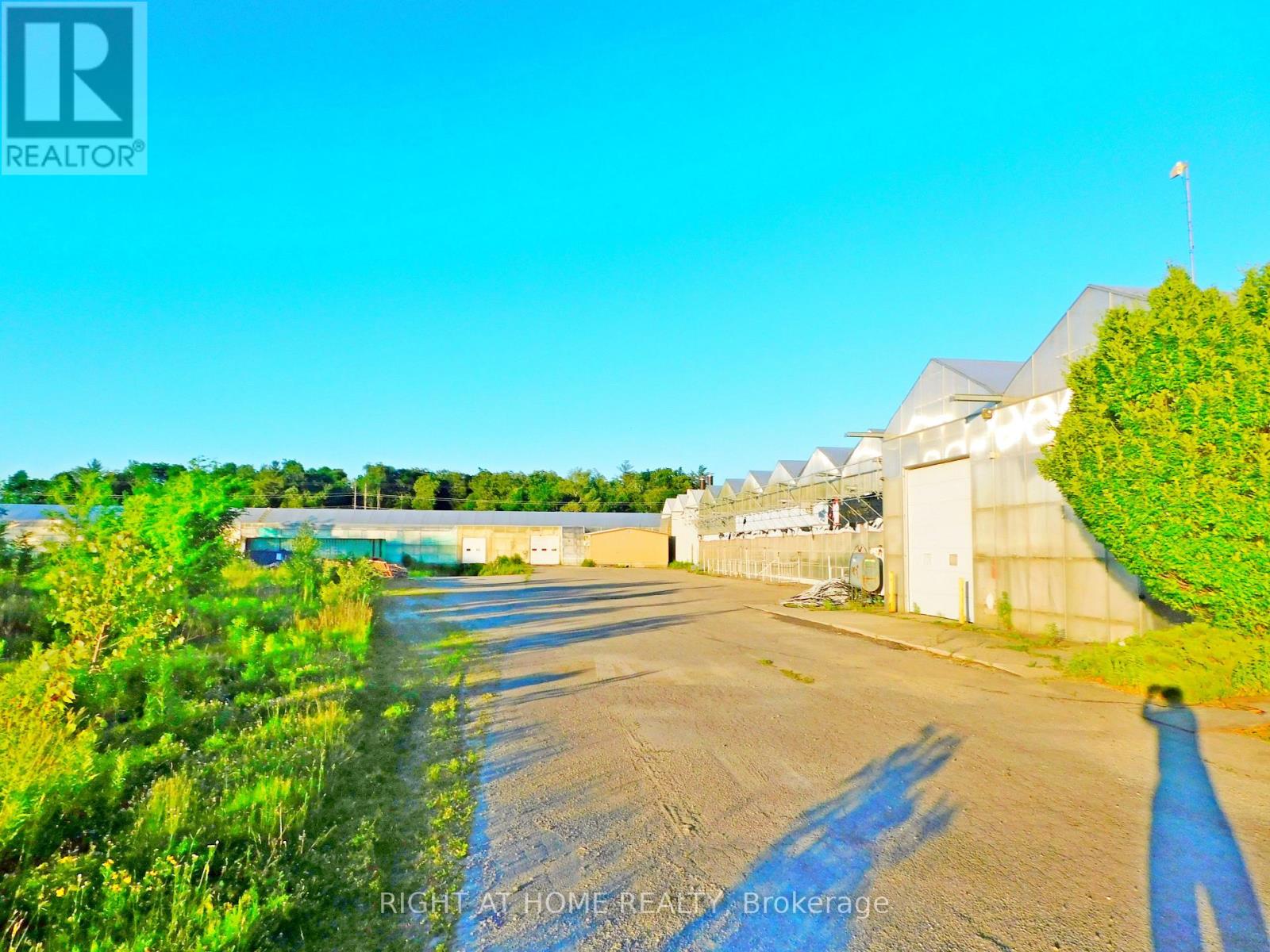2492 Highway 24, Norfolk, Ontario  N0E 1Y0 - Photo 16 - X8443064