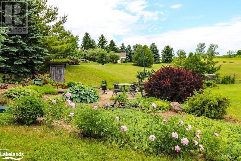 8886 County Road 91 Road, Duntroon, Ontario  L0M 1H0 - Photo 33 - 40603261