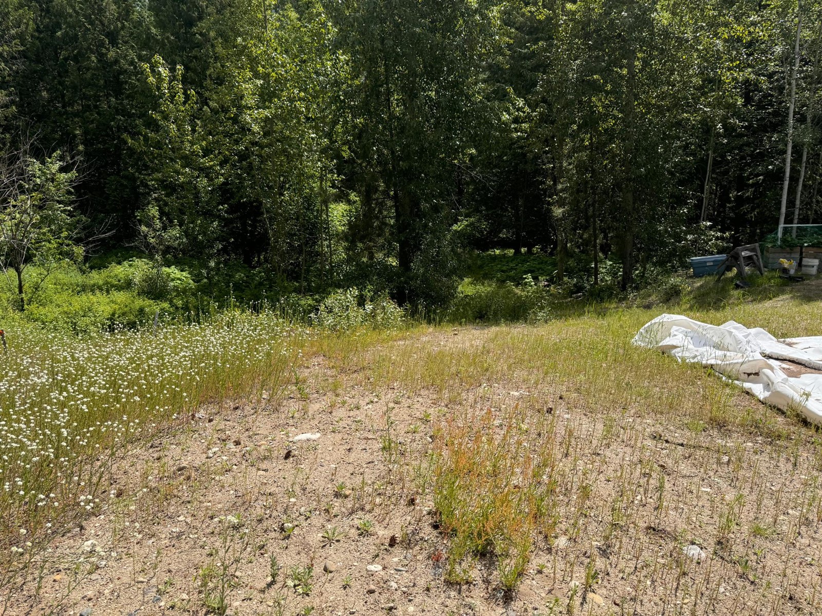 26 - 1500 Neimi Road, Christina Lake, British Columbia  V0H 1E2 - Photo 3 - 2477708