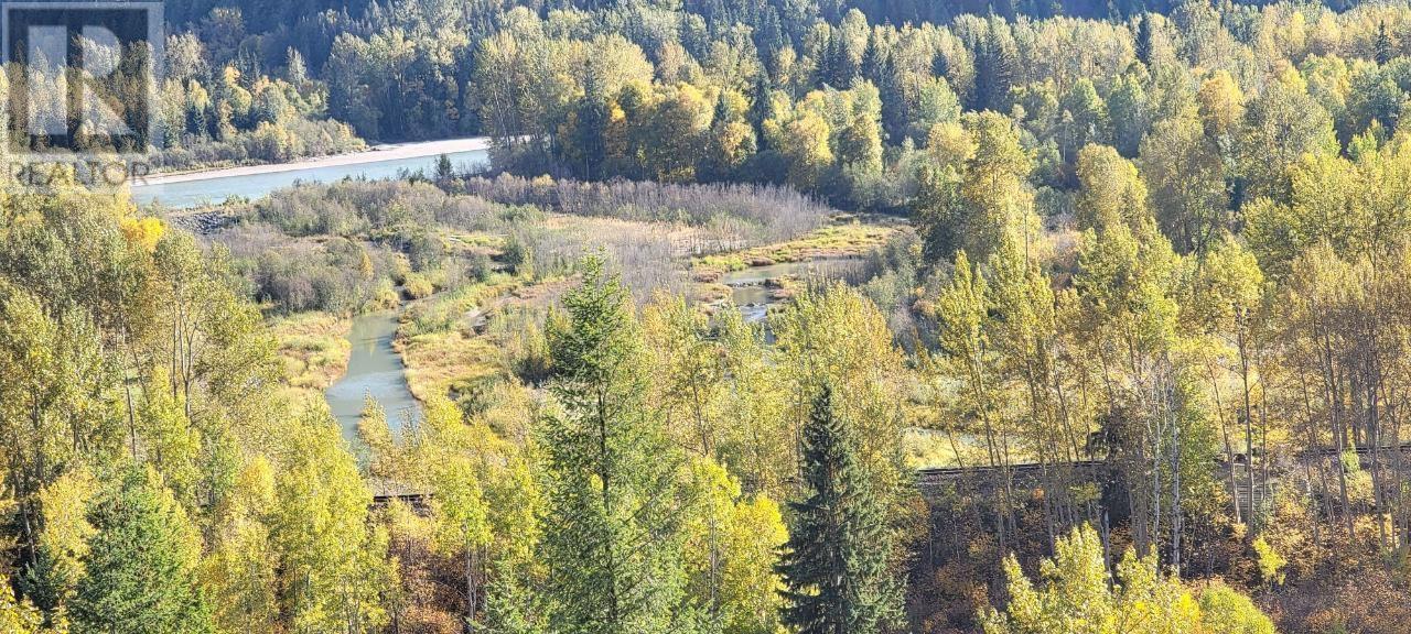 2200 Yellowhead Highway S, Clearwater, British Columbia    - Photo 85 - 179265