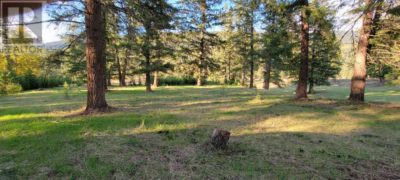 2200 Yellowhead Highway S, Clearwater, British Columbia   - Photo 79 - 179258