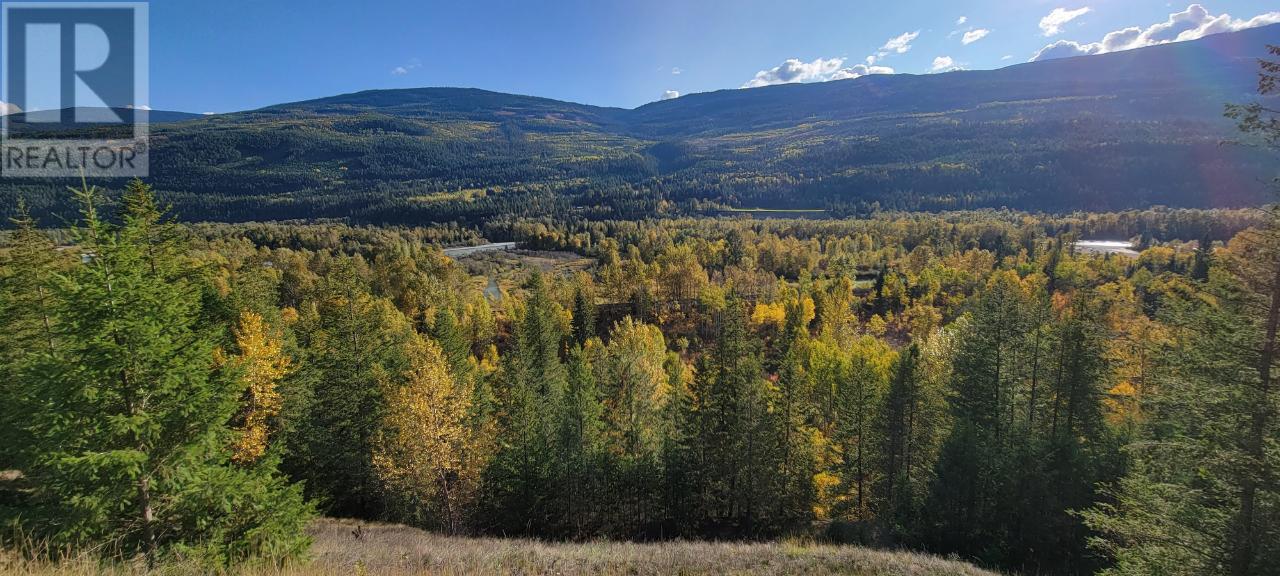 2200 Yellowhead Highway S, Clearwater, British Columbia   - Photo 88 - 179258