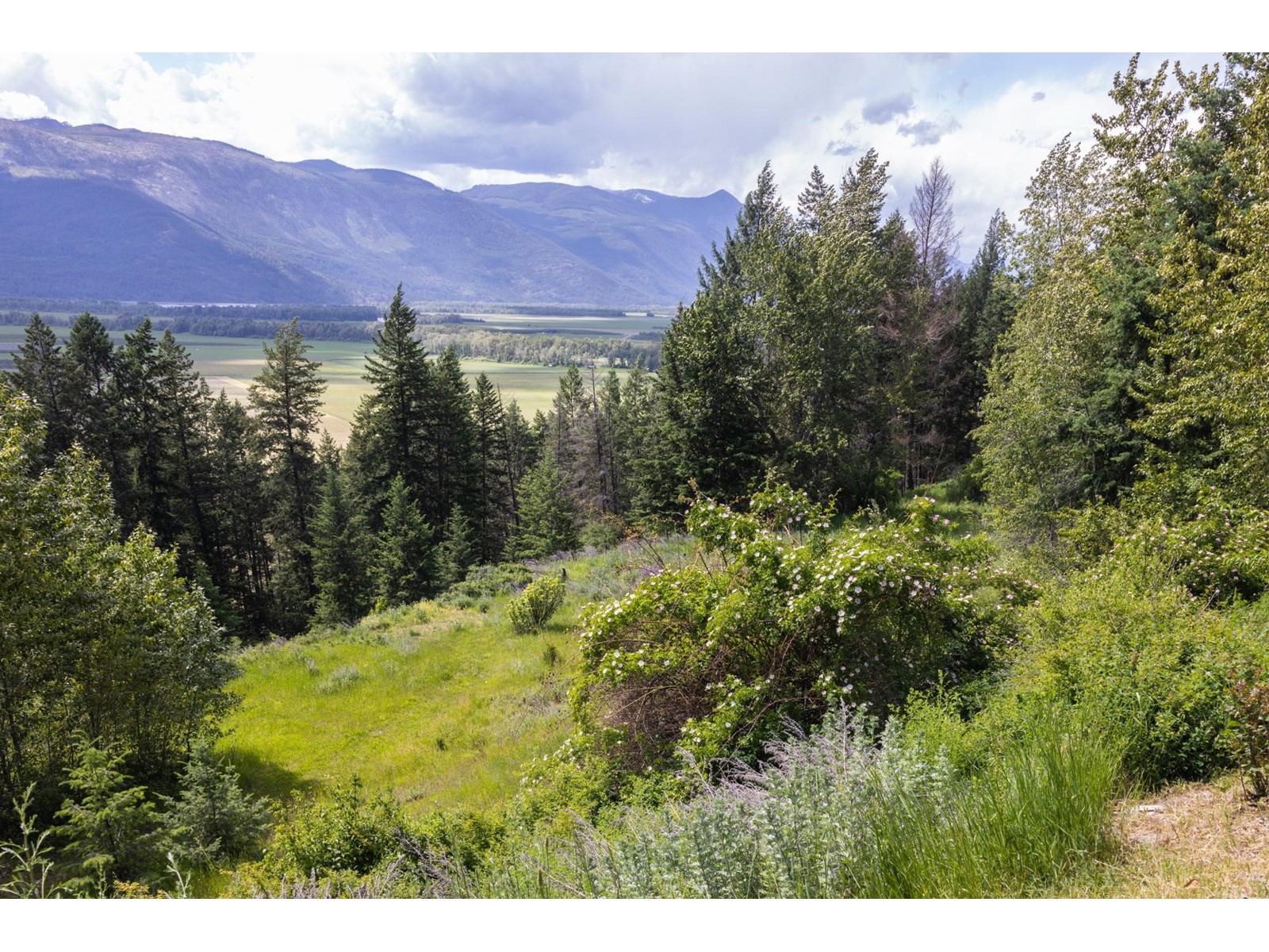 4285 Highway 3a, Wynndel, British Columbia  V0B 2N1 - Photo 62 - 2477737