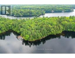 1 Island Shaw, Muskoka Lakes, Ca