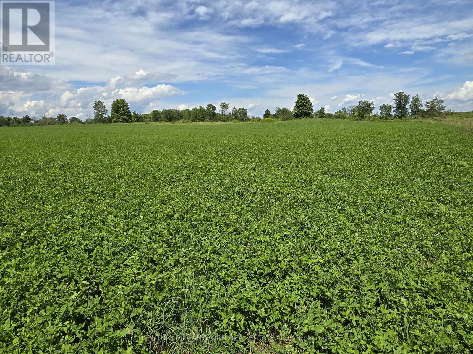 969 Cooke Road, Stirling-Rawdon, Ontario  K0K 3E0 - Photo 33 - X8444686
