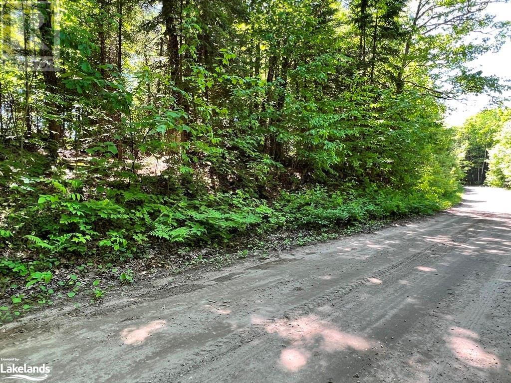 0 Contau Lake Road, Gooderham, Ontario K0M 1R0 (27047617)