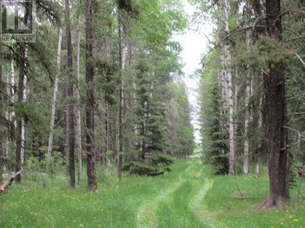 Cow Creek Road, Rural Clearwater County, Alberta  T4T 2A2 - Photo 3 - A2110498