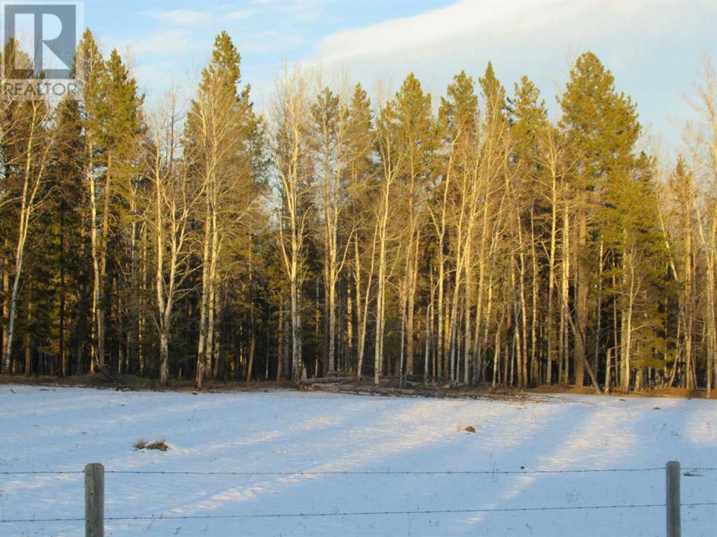 Cow Creek Road, Rural Clearwater County, Alberta  T4T 2A2 - Photo 23 - A2110498