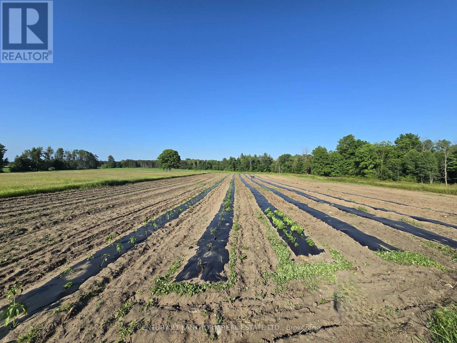 233 Moira Road, Centre Hastings, Ontario  K0K 3E0 - Photo 23 - X8446004