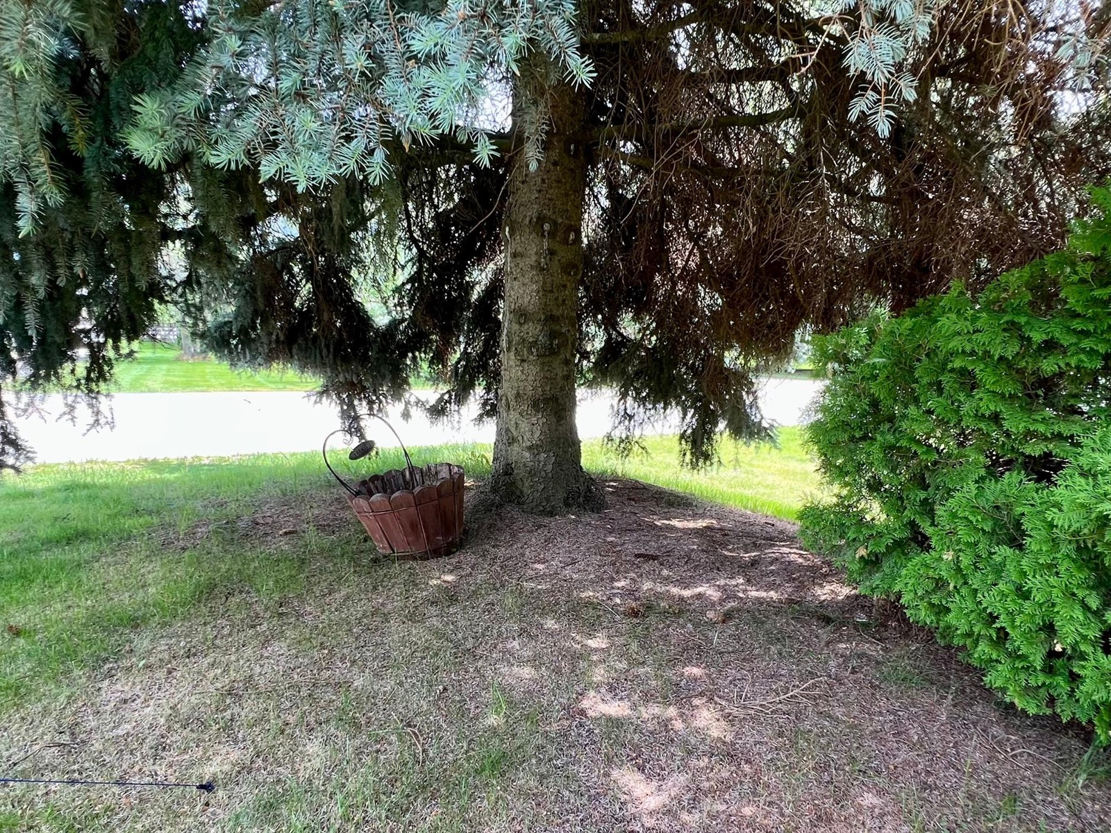 2520 9th Avenue, Castlegar, British Columbia  V1N 2Y8 - Photo 40 - 2477714