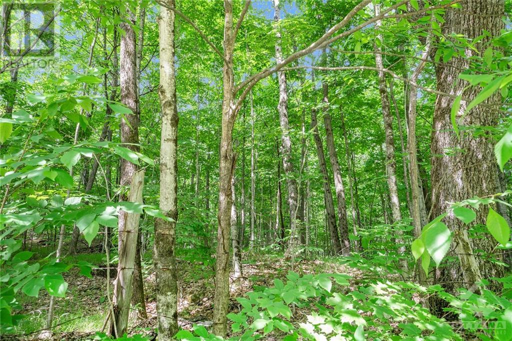 00 Schonauer Road, North Frontenac, Ontario  K0H 1C0 - Photo 8 - 1397956