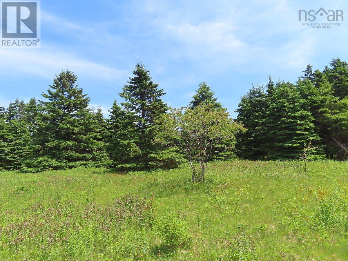 9.9 Acres Grand Greve Road, Grande Greve, Nova Scotia  B0E 3B0 - Photo 12 - 202312289