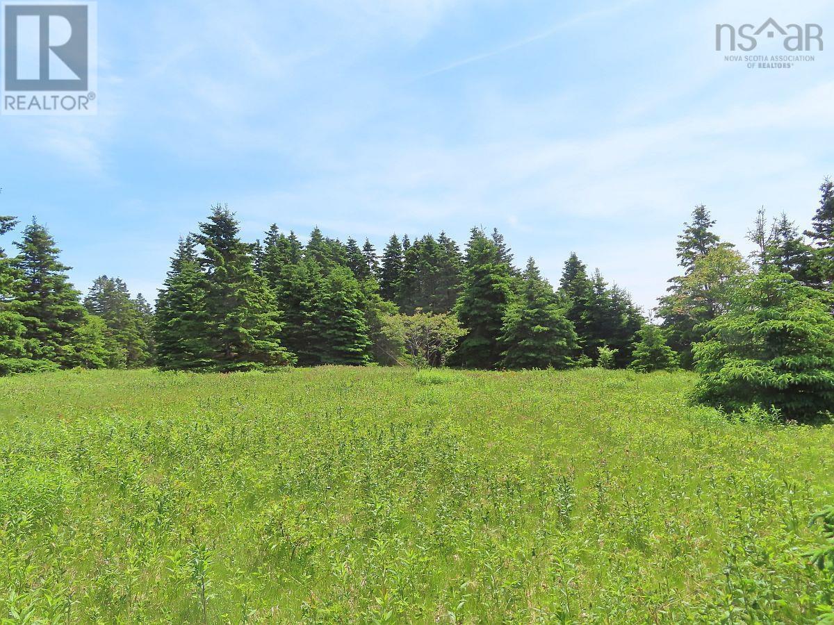 9.9 Acres Grand Greve Road, Grande Greve, Nova Scotia  B0E 3B0 - Photo 14 - 202312289