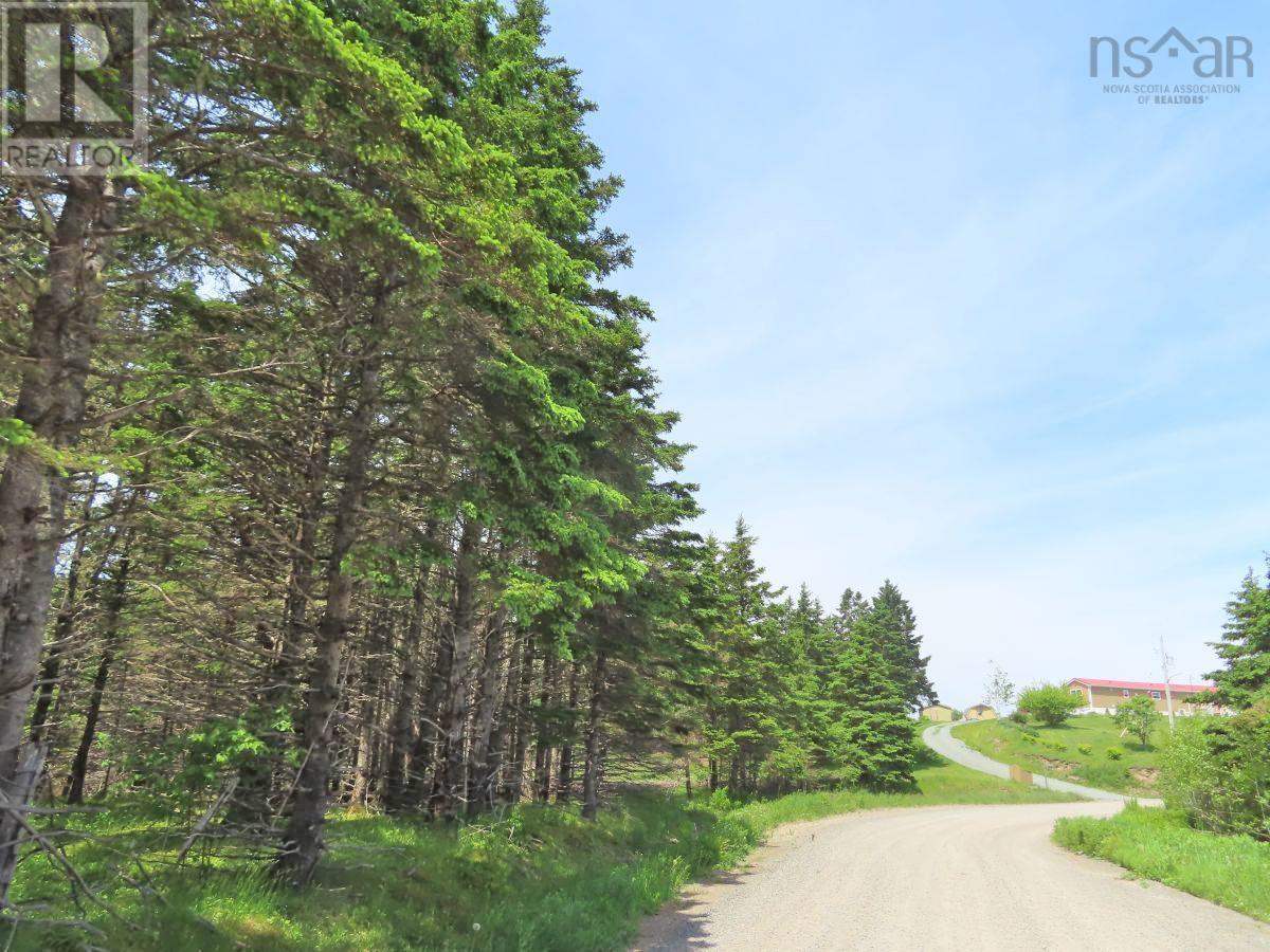 9.9 Acres Grand Greve Road, Grande Greve, Nova Scotia  B0E 3B0 - Photo 15 - 202312289