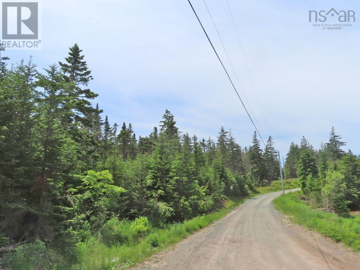 9.9 Acres Grand Greve Road, Grande Greve, Nova Scotia  B0E 3B0 - Photo 16 - 202312289