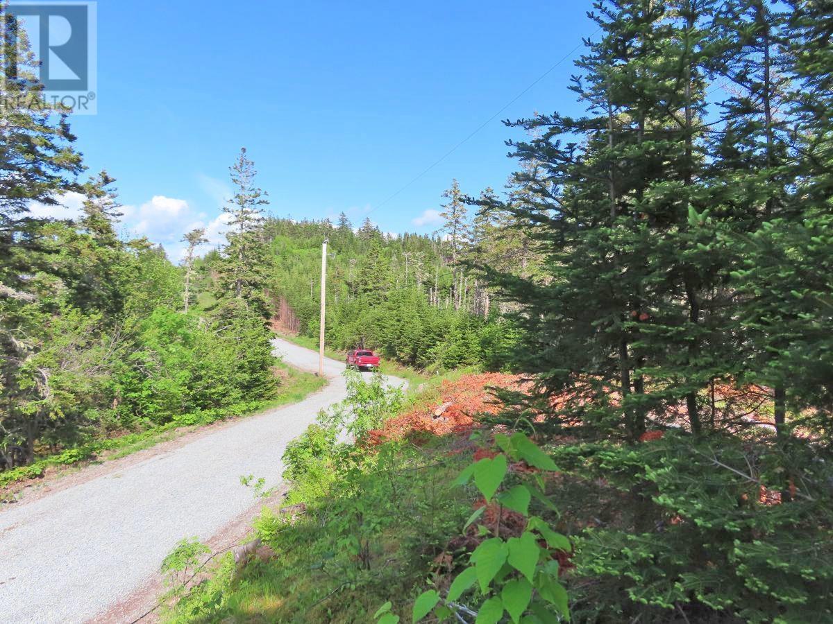 9.9 Acres Grand Greve Road, Grande Greve, Nova Scotia  B0E 3B0 - Photo 17 - 202312289