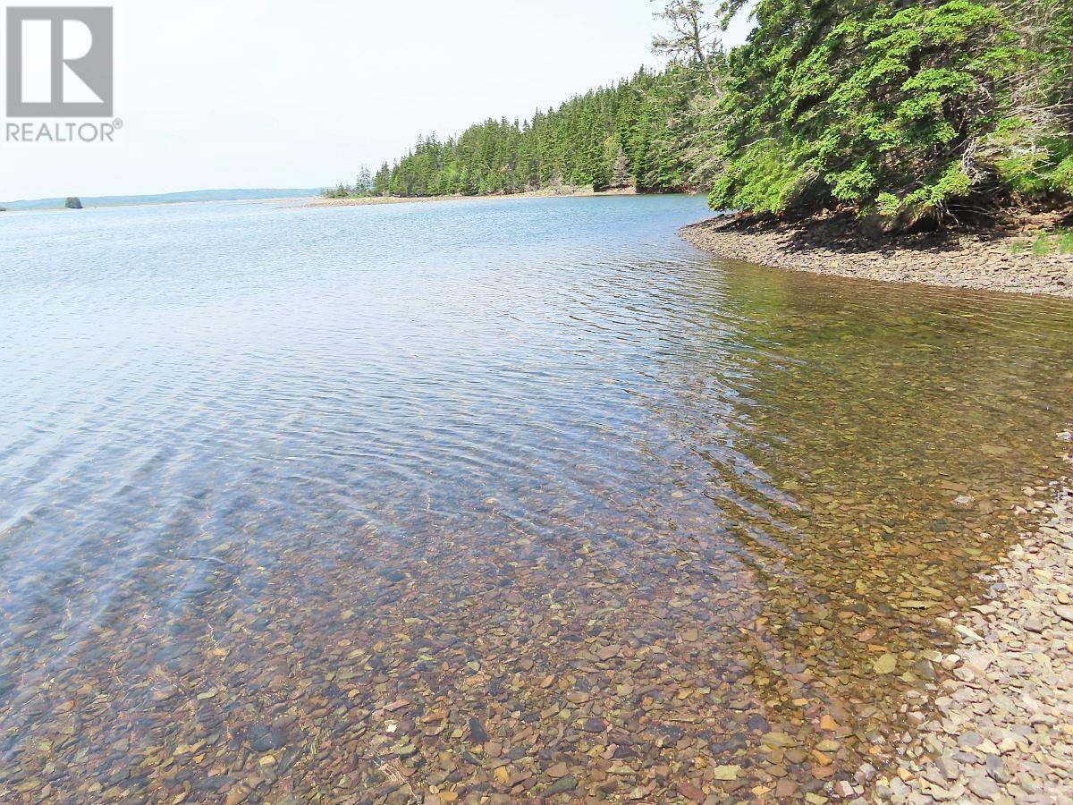 9.9 Acres Grand Greve Road, Grande Greve, Nova Scotia  B0E 3B0 - Photo 5 - 202312289