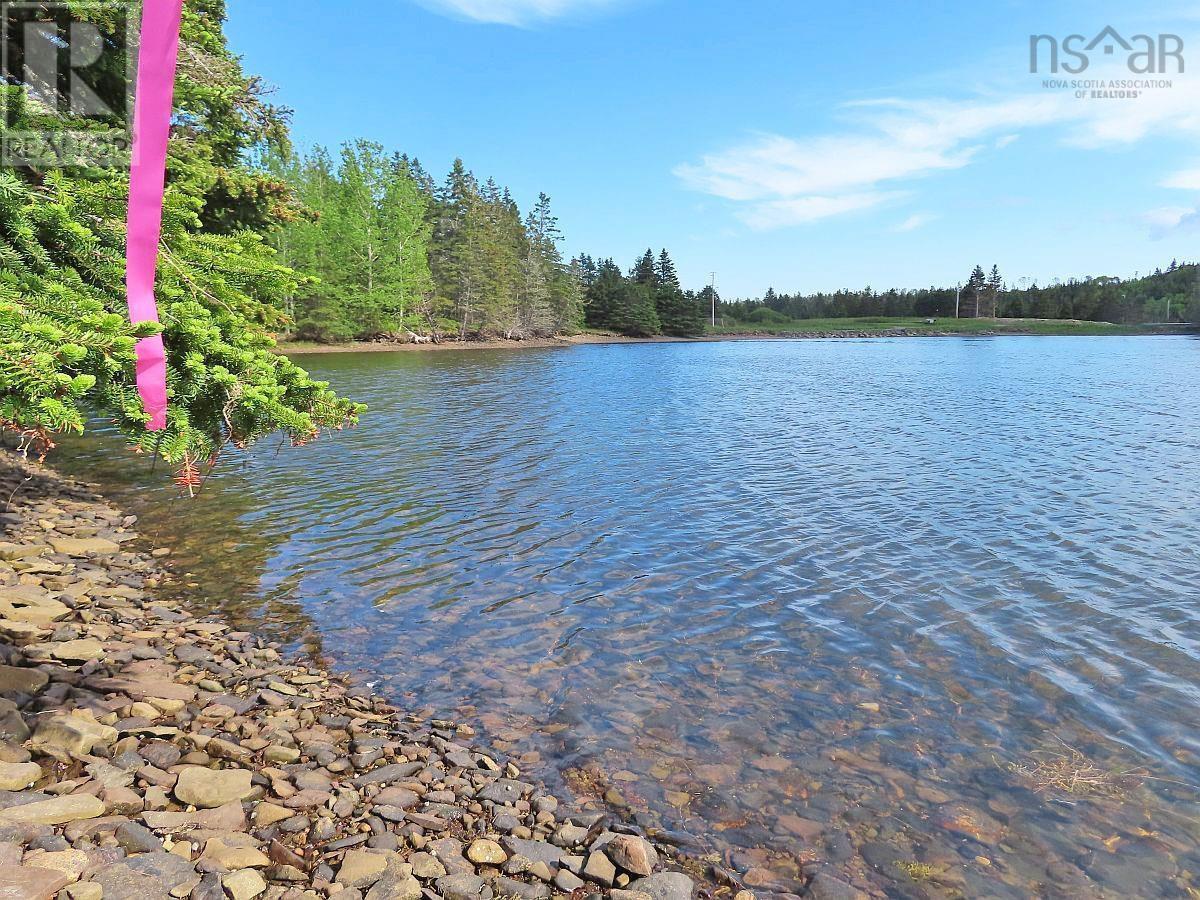 9.9 Acres Grand Greve Road, Grande Greve, Nova Scotia  B0E 3B0 - Photo 6 - 202312289