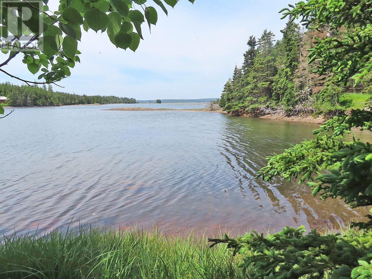 9.9 Acres Grand Greve Road, Grande Greve, Nova Scotia  B0E 3B0 - Photo 7 - 202312289