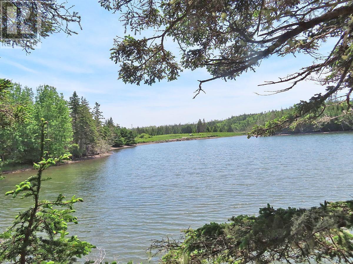 9.9 Acres Grand Greve Road, Grande Greve, Nova Scotia  B0E 3B0 - Photo 8 - 202312289