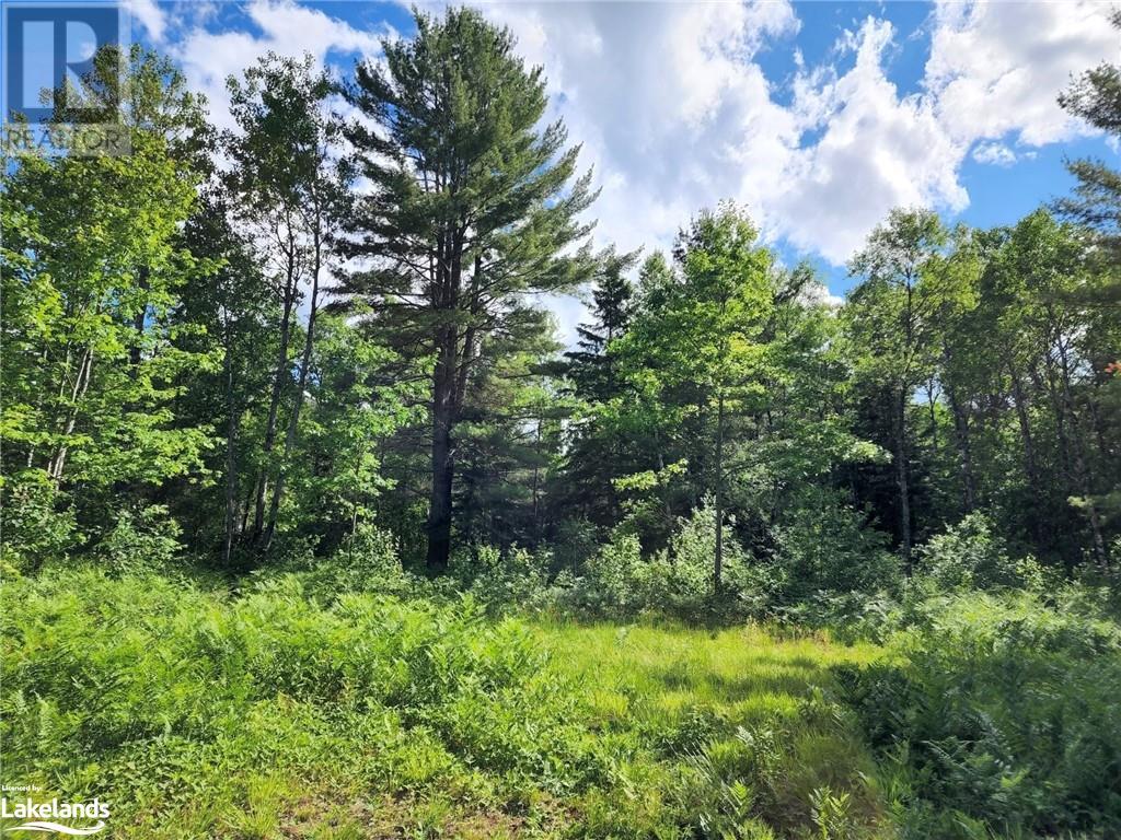 1075 SPRING LAKE Road, dwight, Ontario