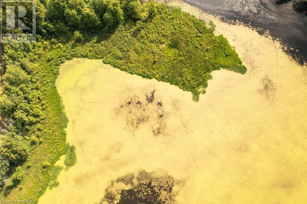 Lot 2 Petworth Road, Stone Mills, Ontario  K0K 3N0 - Photo 21 - 40606868