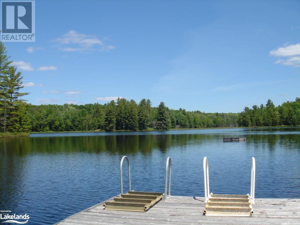 Lot 9 Concession 5, Lake Of Bays (Mclean), Ontario  P0B 1A0 - Photo 1 - X10895017