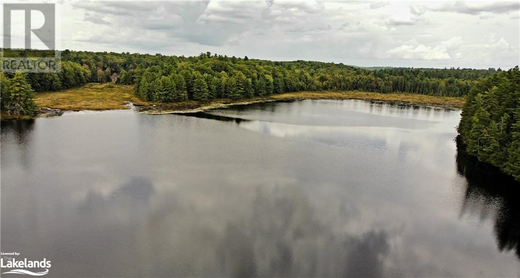 Lot 9 Concession 5, Lake Of Bays (Mclean), Ontario  P0B 1A0 - Photo 11 - X10895017