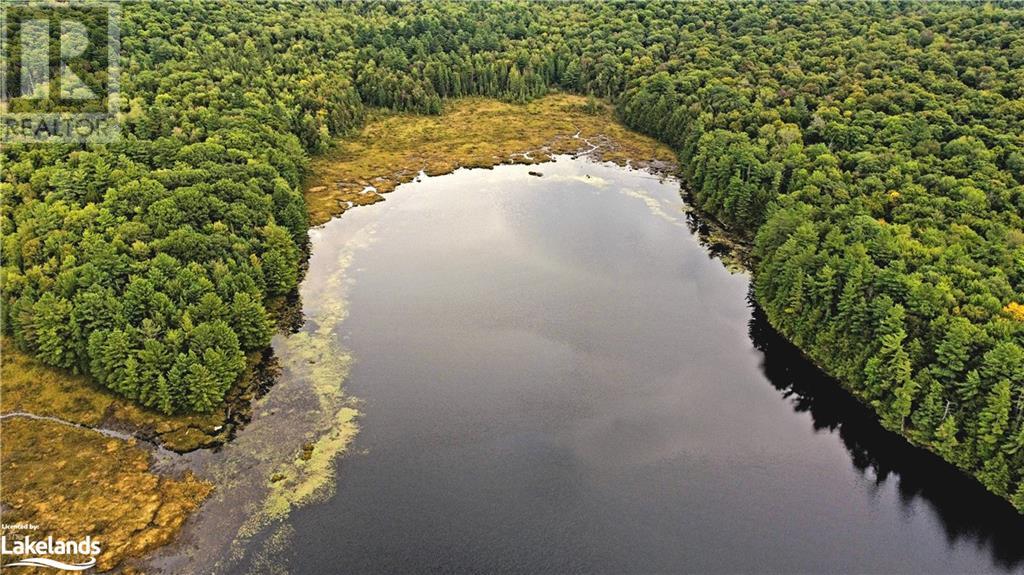 Lot 9 Concession 5, Lake Of Bays (Mclean), Ontario  P0B 1A0 - Photo 12 - X10895017